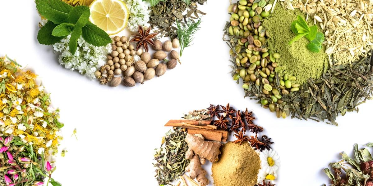 digestivesupport guthealth